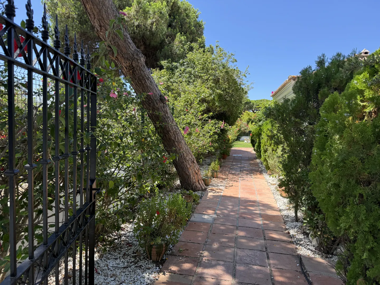 Pine-lined garden path at Villa ALMALE
