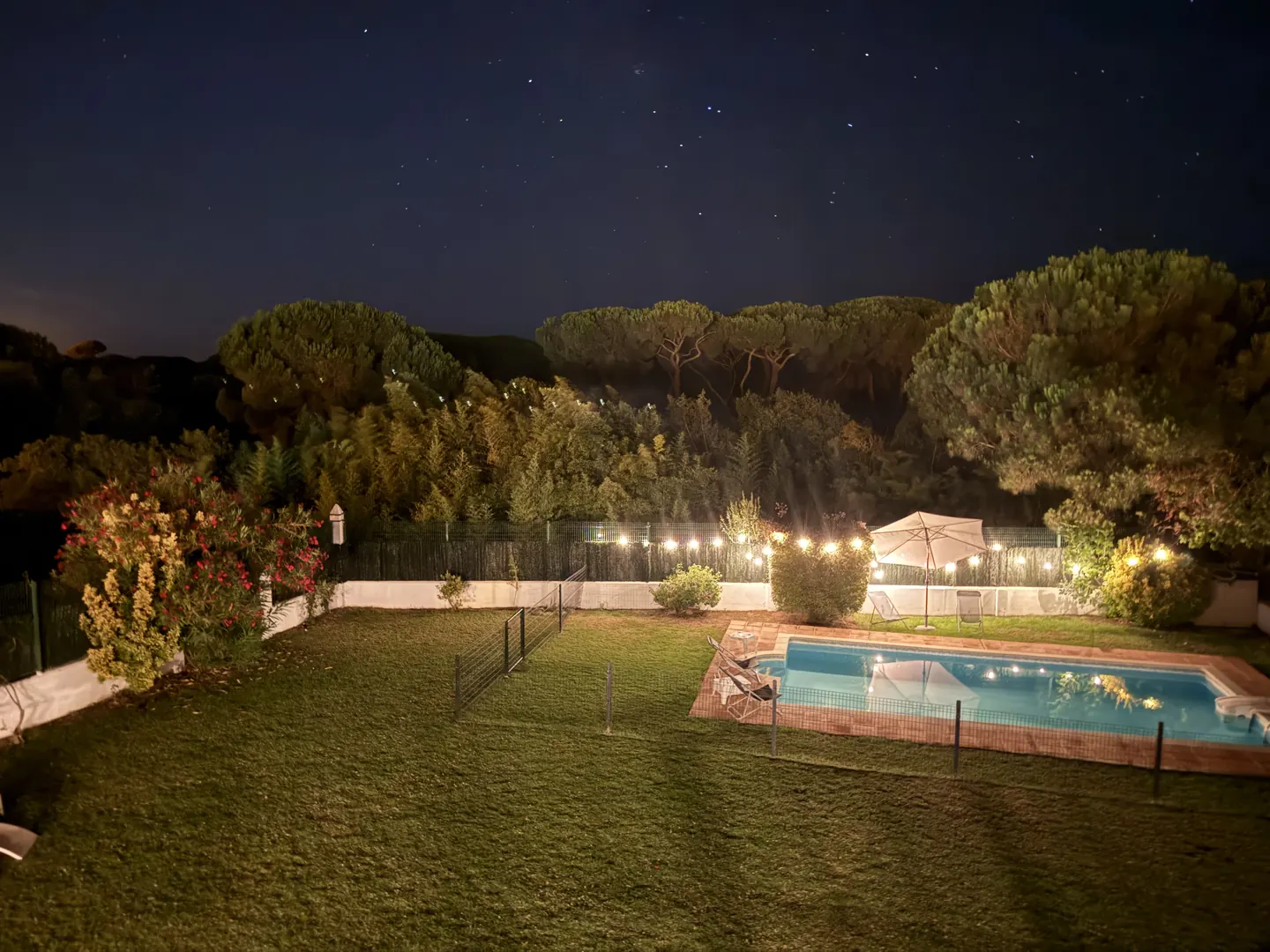 Garden and pool in the early evening